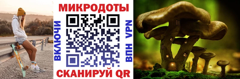 Галлюциногенные грибы Magic Shrooms  Осташков 